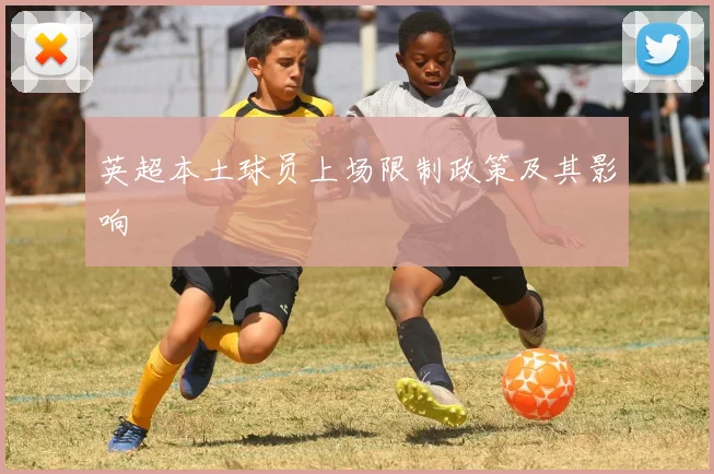英超本土球员上场限制政策及其影响