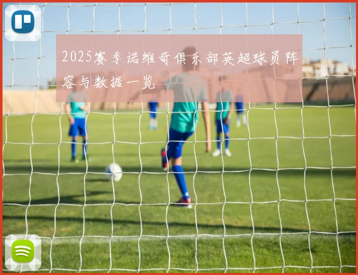 2025赛季诺维奇俱乐部英超球员阵容与数据一览