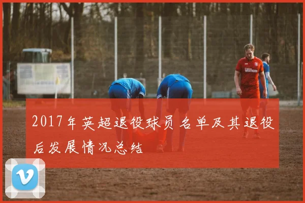 2017年英超退役球员名单及其退役后发展情况总结