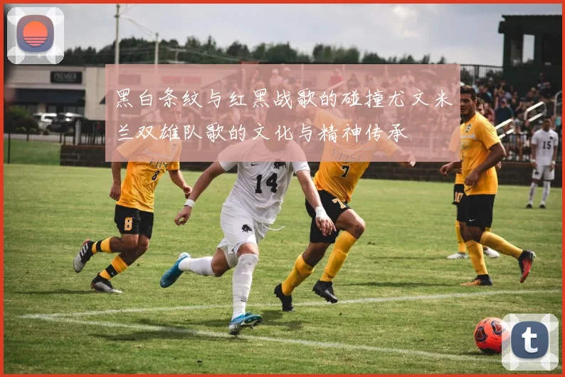 黑白条纹与红黑战歌的碰撞尤文米兰双雄队歌的文化与精神传承