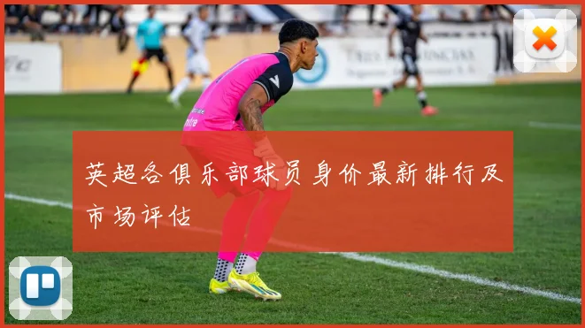 英超各俱乐部球员身价最新排行及市场评估