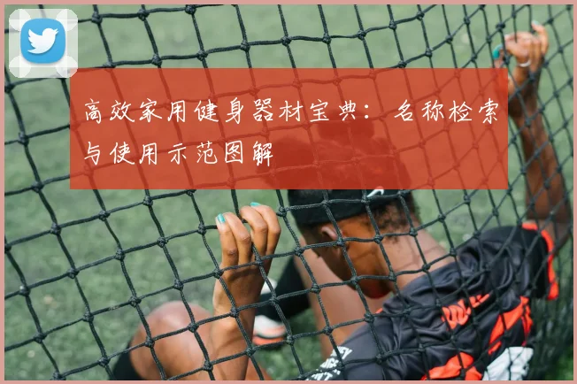 高效家用健身器材宝典：名称检索与使用示范图解
